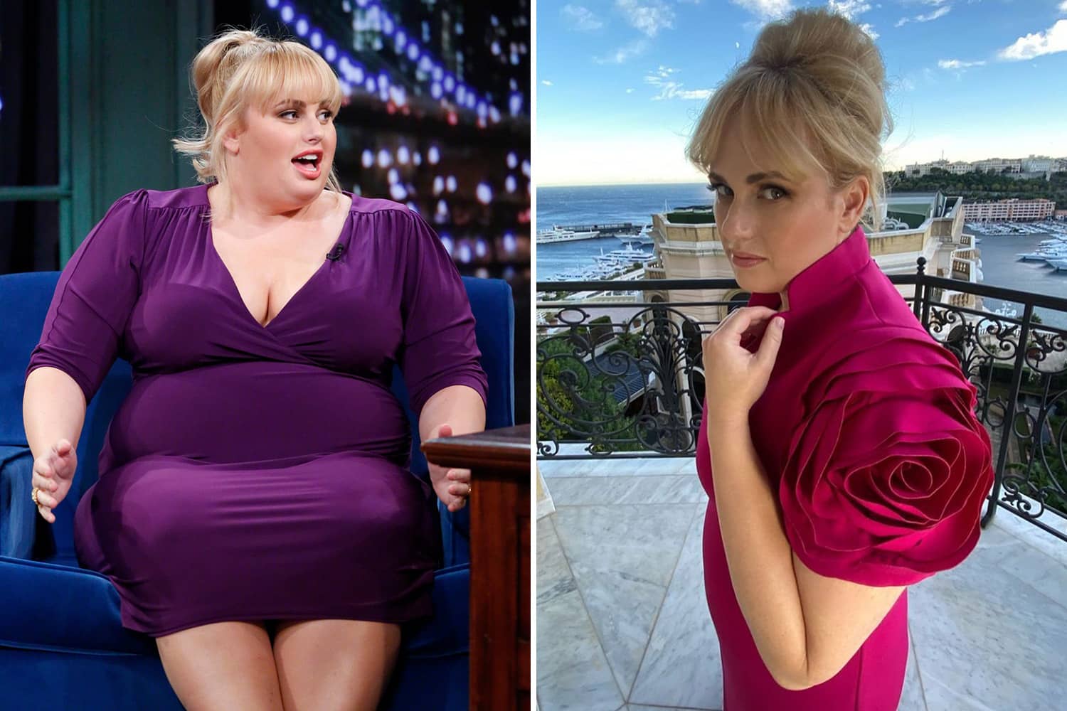 Rebel Wilson's Incredible Transformation Through the Years: From ...